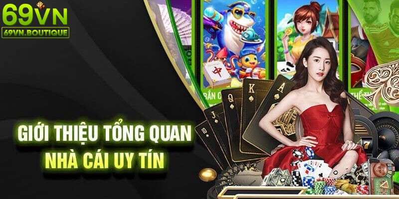 Quá trình hoạt động và phát triển của 69VN